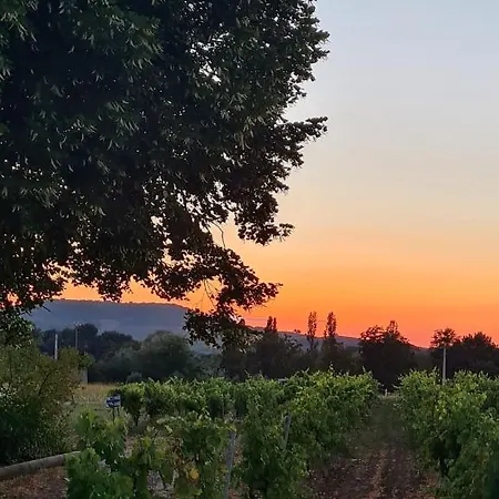Estello Faucon (Vaucluse)